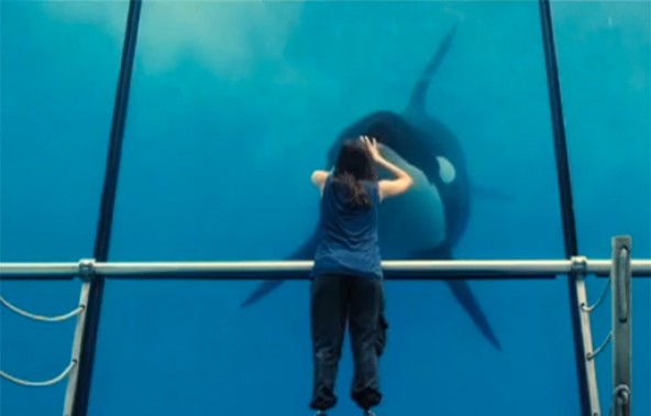 rust-and-bone1-592x378