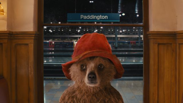 Paddington-Bear